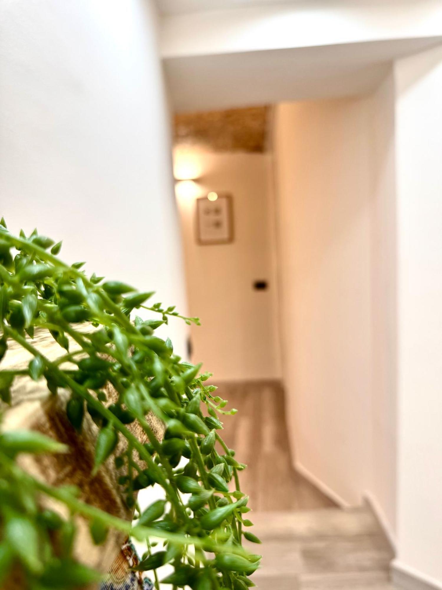 Luxury Stay Palermo Suite Con Spa Privata Vicino Stazione Ngoại thất bức ảnh